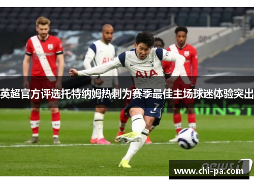 英超官方评选托特纳姆热刺为赛季最佳主场球迷体验突出