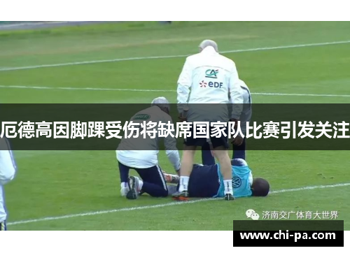 厄德高因脚踝受伤将缺席国家队比赛引发关注