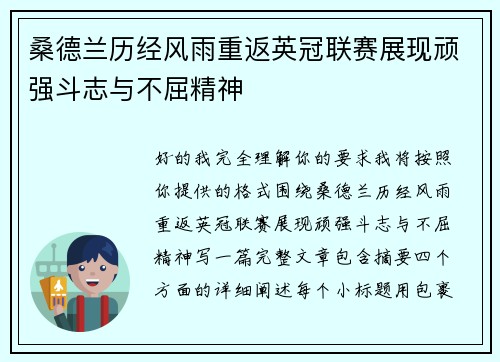 桑德兰历经风雨重返英冠联赛展现顽强斗志与不屈精神